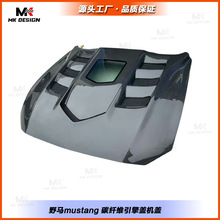 �m��춸���Ұ�Rmustang̼�w�S�l�әC�w �����w ܇�^�w