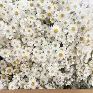 �����B �滨�_��˹С�r��diy�ɻ���������������������S���lֱ�N