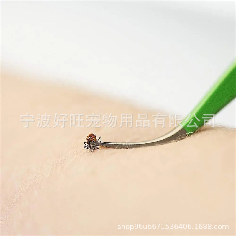 绿色2个装 (4)