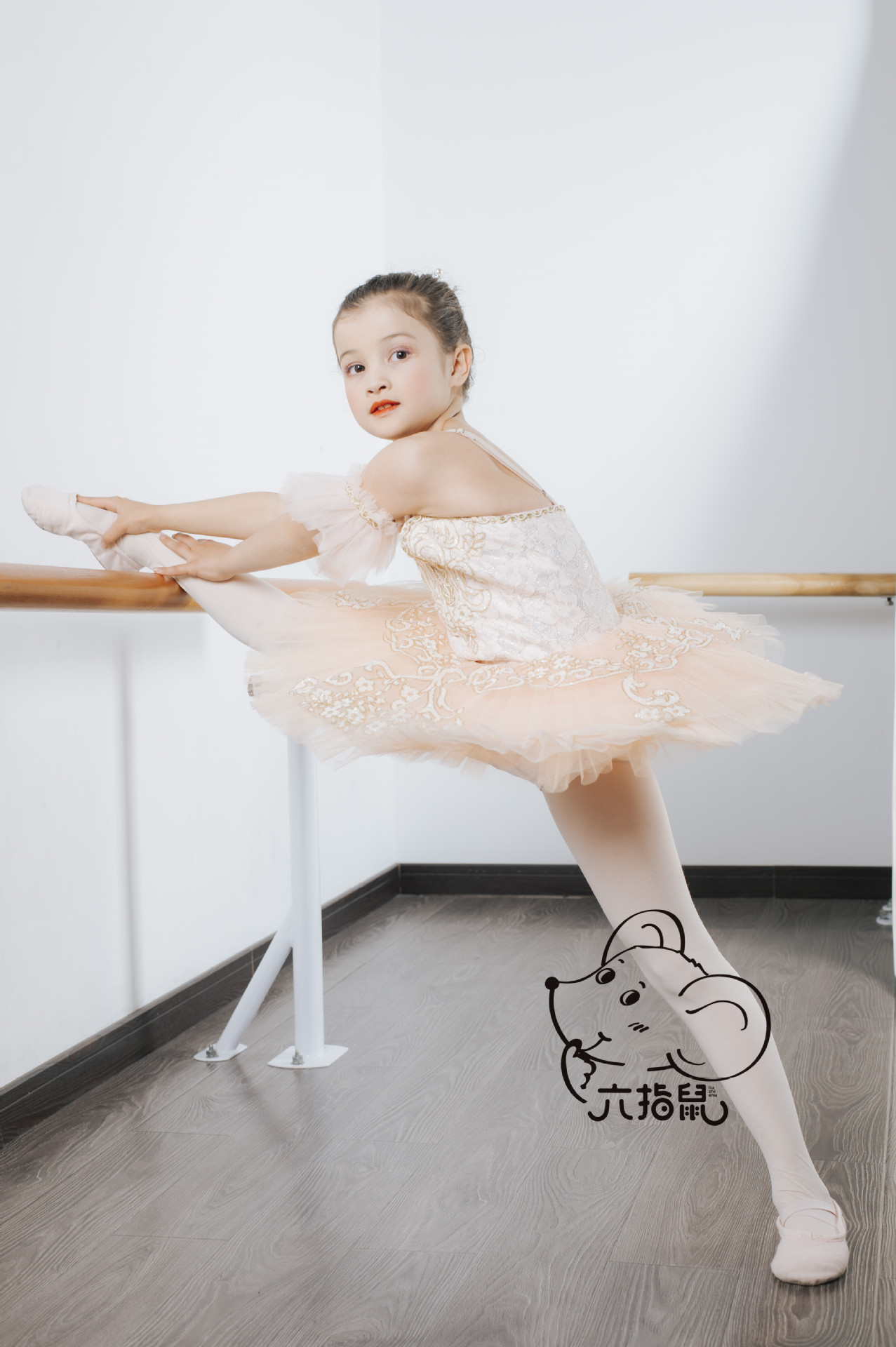 六指鼠8991新包装(17)