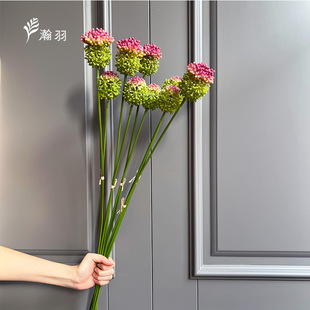 2�^�[����滨 ʯ���ѹ�Ӣ ܛ�z�bҾ�ֲ��廨��Ļ�Y����