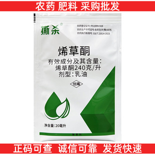 24%ϩ��ͪϣ���~ϩ�ݞ� ���Ͳ˳��݄����̱����s�ݼ��~��ϩ��ͪ