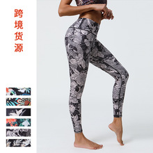 �羳ŷ���¿�ӡ���٤��Ů�������������׿㻧���˶������٤��