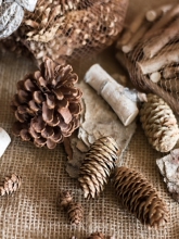 ɭ�ֵĶY������b�DIY�ɹ�������֦��ƤZAKKA�Ĕz����