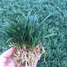 ձͥԺƺGرֲ：~߅ͺ 