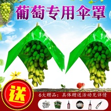 ���т���ꖹ�õ�������״����ô�������ւ�ñ�����Ʒ�ˮ���ѹ���