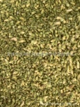 中药材槐米中药材槐花米槐米花白槐槐花米槐籽花长期供应量大从优