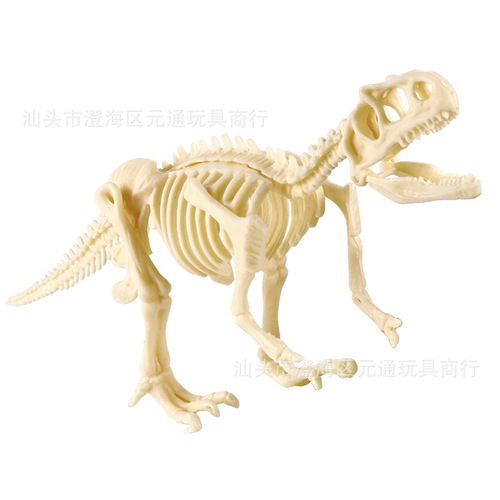 Archaeological excavation gypsum toy dinosaur fossil large skeleton assembly model children's handmade DIY stall wholesale