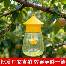 ��ω���T������ω�T������ω��h�Ϲ���ωճωճ����@�˵ظ���