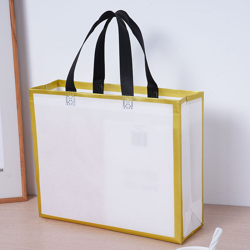 Tienda de ropa no tejida bolsa de mano bolsa de regalo para ropa de embalaje ecológico compras ropa de mujer personalizada al por mayor