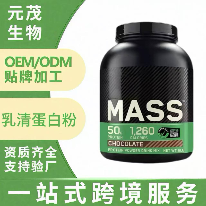 Cross-Border Export Whey Protein Powder Chocolate Flavor Whey Prot Weight Gain Whey Protein