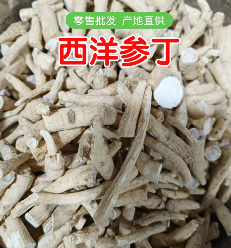 American Ginseng Root Pieces Xiyangshen Dried Herbal Slices for Cooking and Tea overview