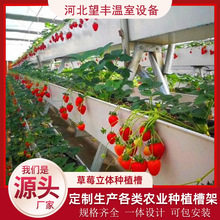 无土栽培草莓立体种植槽厂家直供A字型种植架水培PVC草莓种植槽