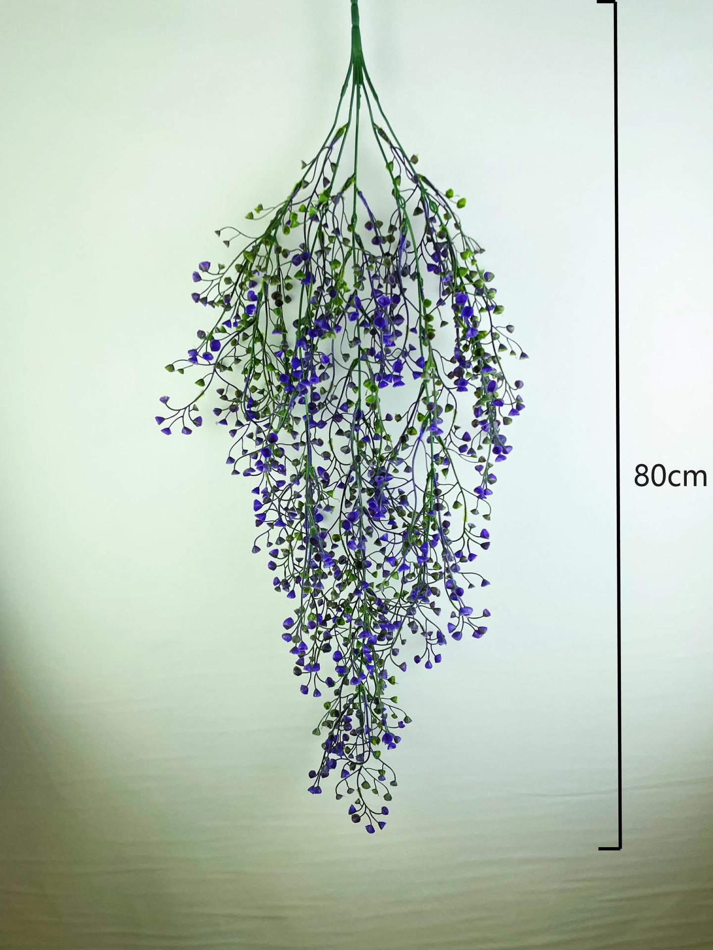 微信图片_20230228193523_毒霸看图