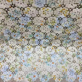 水溶牛奶丝绣花蕾丝布料 镂空印花高档服装刺绣蕾丝连衣裙面料