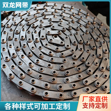 非标定制双节距链条机械传动滚子链条耐高温304不锈钢传动链条