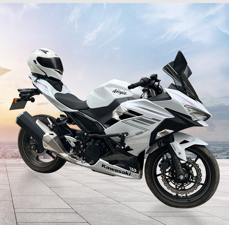 Suitable for Kawasaki Ninja 400 crash bars, anti-fall protection springs, racing bars, ninja anti-collision stunt bars, modification accessories