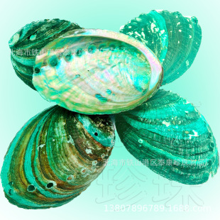 �����U�~����Ȼ�{ɫ�h�S���U�~ؐ���Ϸǰ��y�U�~��100����