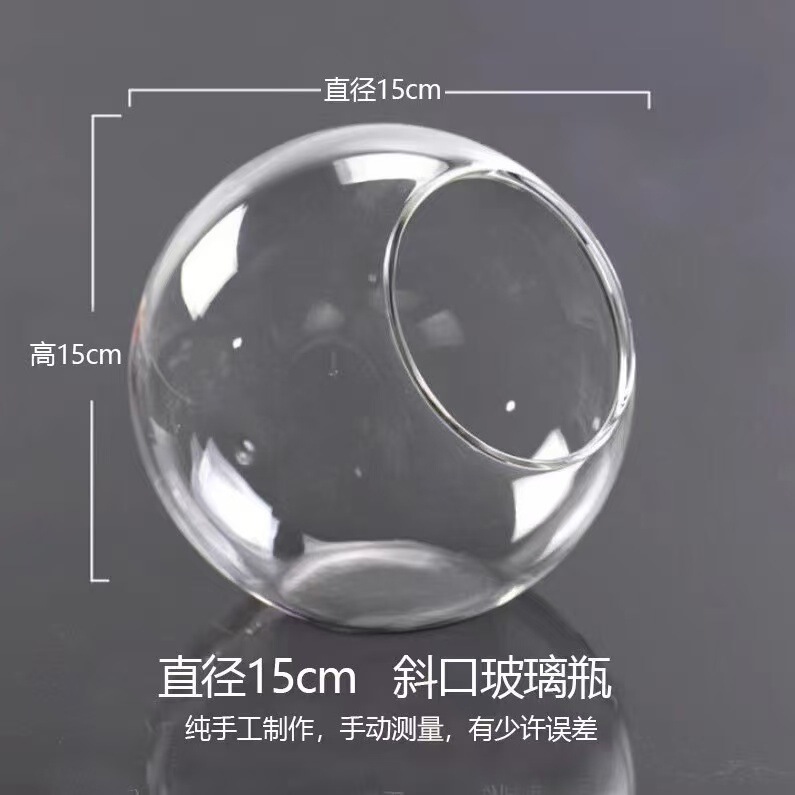 透明斜口玻璃花瓶 圆形微景观生态瓶多肉花瓶水培花器|undefined