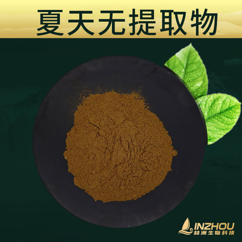 夏天无提取物  林洲生物 夏天无提取粉 夏天无粉 现货包邮