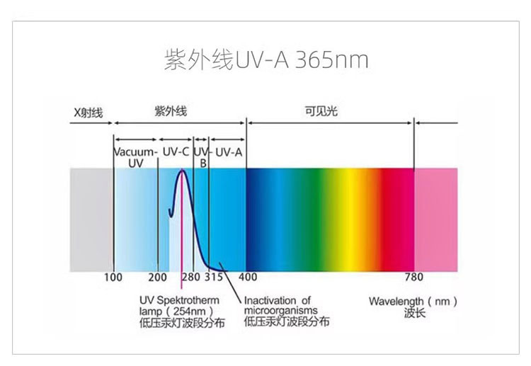 365nm UV light for identification, used for detecting counterfeit money, cigarettes, alcohol, and for inspecting jade and gemstones, Wood's UV adjustable focus flashlight