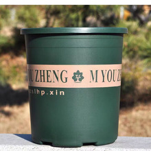 ϼӁ֬G}m̨ôڏN؃r}l