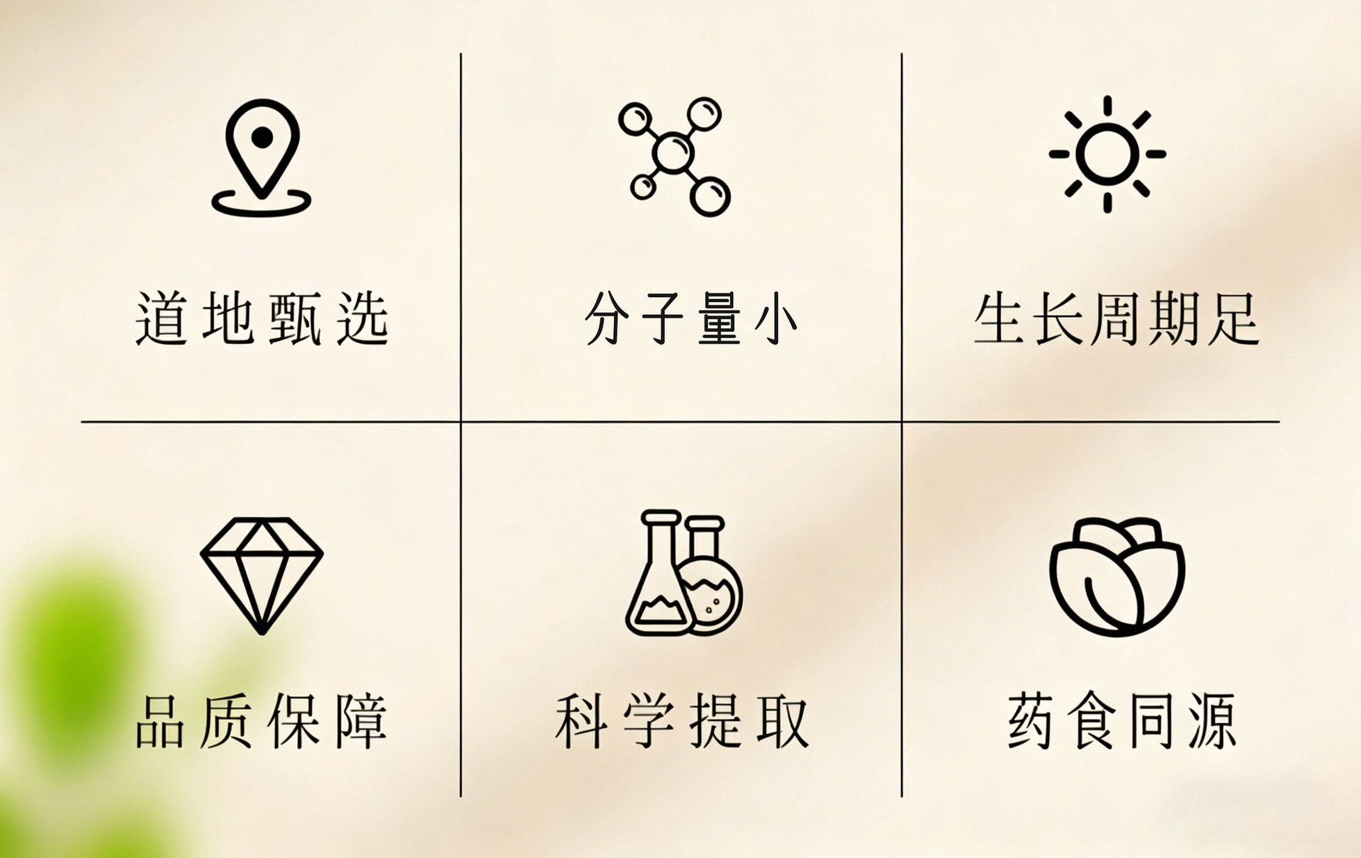 Xiaojie Yin Compound Herbal Botanical Drink (50ml) — Dandelion, Platycodon & Citron Liquid Extract key features
