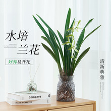 ˮ���m��ī�m���Ԏ������͏d�҃����������ˮ�B�Gֲ�ｨ�mС�n�m