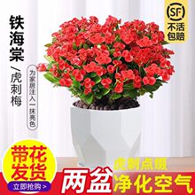 �F�������Ի����҃��辰�Gֲ�ļ��_ ??������÷�k���̨�����_ ?