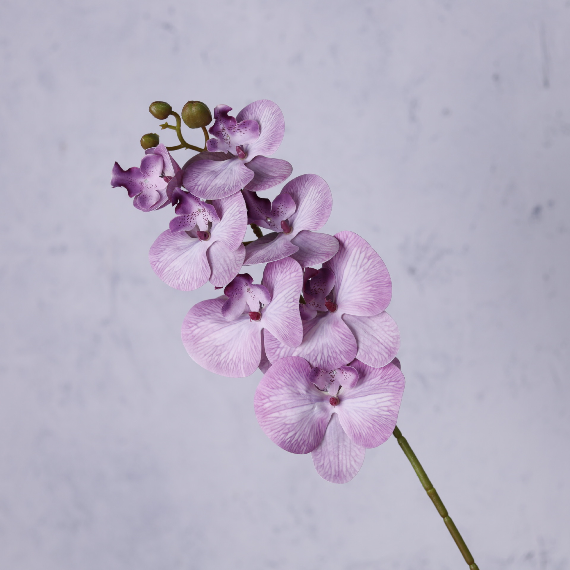 Impresión 3D de 7 cabezas de orquídeas mariposa flor de decoración de flores de alto nivel flor de nicho decoración floral decoración de sala de estar