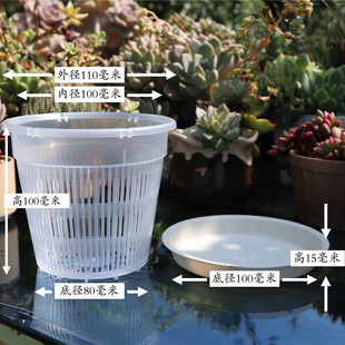 Plastic Orchid Pot Phalaenopsis Special Bonsai Root Control Pot Breathable Orchid with Tray Planting Basket Rooting