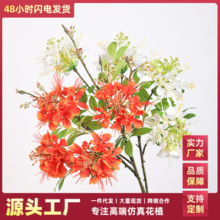 ?����P�����l ��֧���P����ɫ�P�˻���c�Ҿ��b[�O�ٻ�