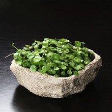 �o���~�X�ݻ����մɴ�̖ˮ����ɏˮ�B��ʯ�^�������