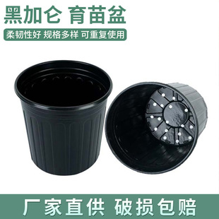 Gallon Pot Black Large Flower Pot Special Seedling Pot for Woody Plants Plastic Thickened Vegetable Pot Fruit Tree Pot Pot