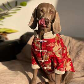 大狗狗过年喜庆衣服春秋薄款狗狗衣服大型犬新年拉布拉多金毛衣服