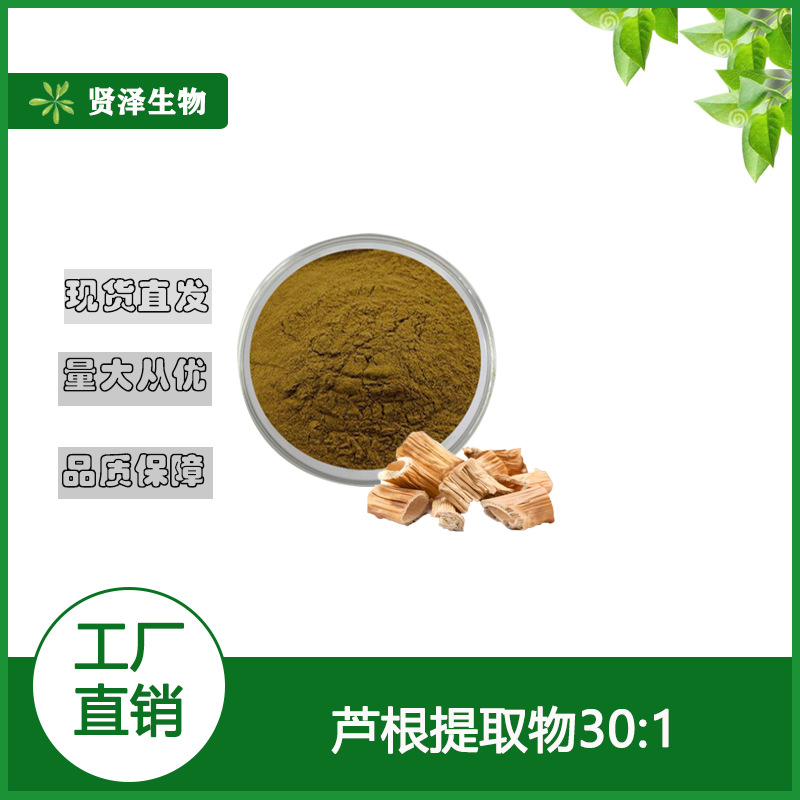 芦根提取物 30:1 多规格  芦根粉 芦苇根萃取 贤泽生物 现货供应