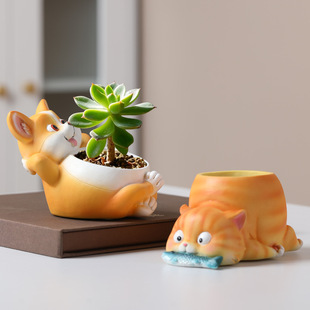 ��ͨ�������С����Ҿ��k���̨�Gֲ����΢���^�@ˇ�b�֬�»�