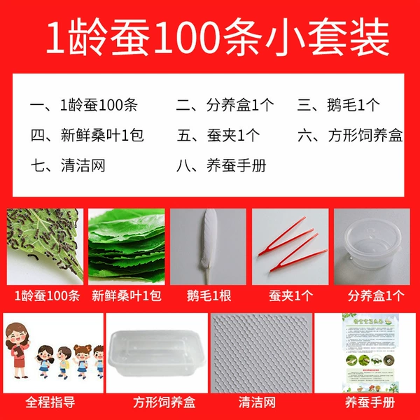 Set, 100 pieces