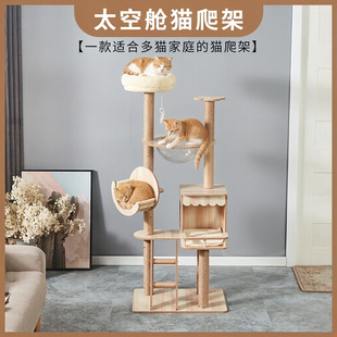 �羳���N�����ӭh��؈����؈��؈�Cһ�w؈��e���Ҿ�һ�����l
