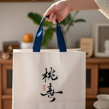 纸袋啶制手提袋礼品袋服装店礼品袋子轻奢高档做服装邮寄油鸡A5