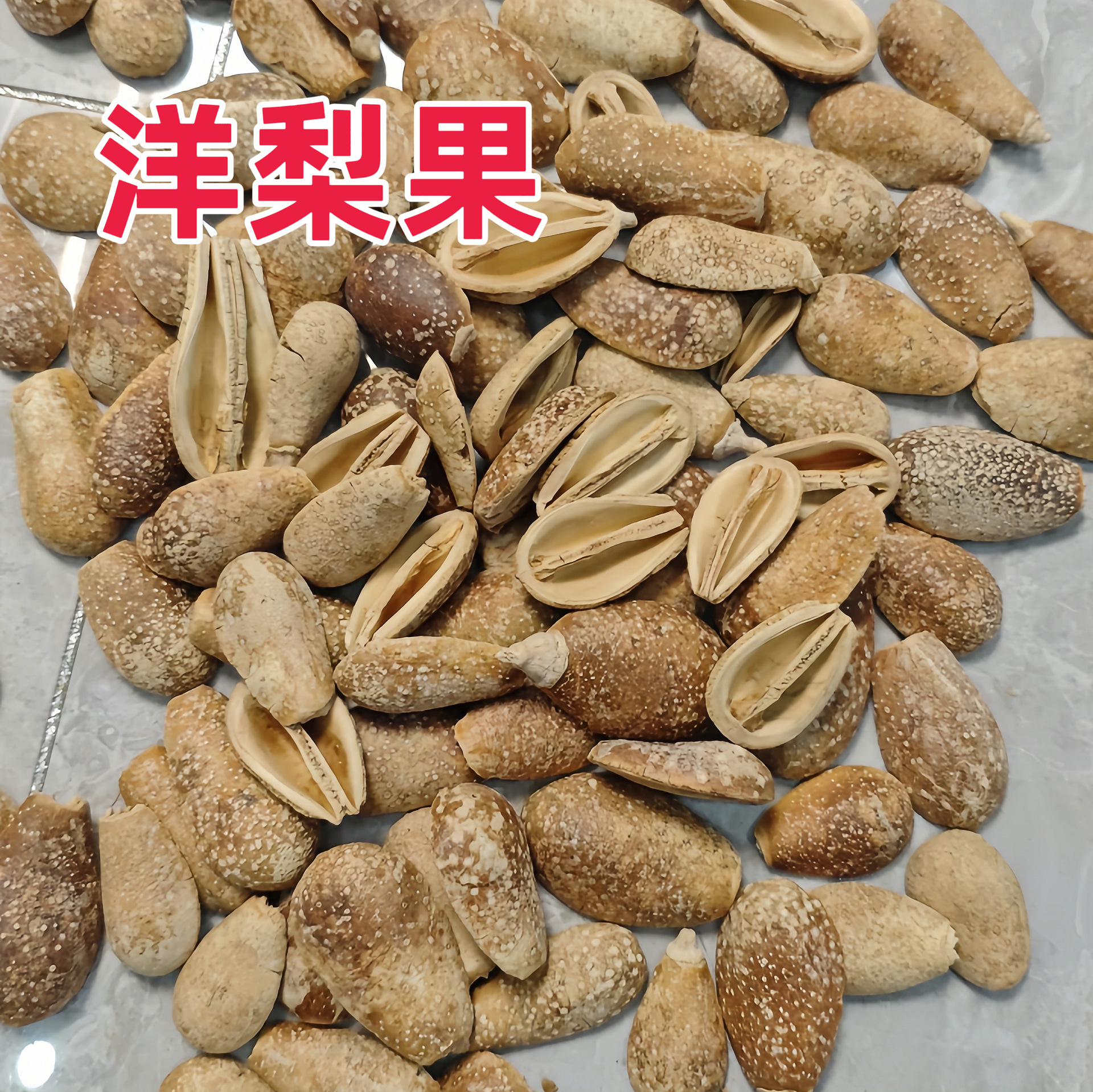 ��Ҭ�ӻ������ӵ���������Ȼ�ɻ�����Ҭ�ӿǻ�DIY�ֹ���Ӱ����
