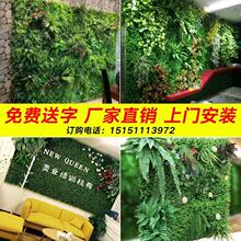 仿真植物墙草坪 地毯绿植墙壁假草皮 墙面绿化装饰室内外背景墙