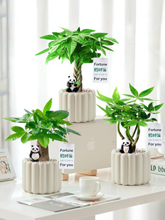 �lؔ��С�����k���҃�����Gֲ�����L��ؔ�[���ļ�����ֲ���׃��@