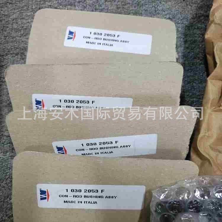 IMG20241210191530