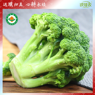 ����r�ЙC���m����Ҭ�˿�ɳ������r��ˬ���ЙC�߲���S���]3��