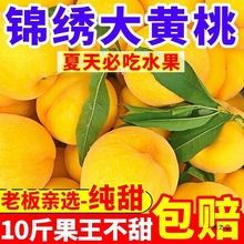 黄桃现摘当季锦绣甜水果桃子孕妇多汁毛桃水蜜桃1/3/5/10斤包邮
