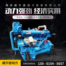 供应潍坊六缸缸发动机 挂浆用渔船小型船用动力 柴油机船用发动机