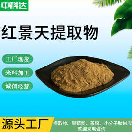 红景天提取物 红景天水溶粉 红景天比例提取物 红景天甙 现货供应