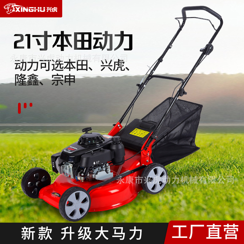 汽油草坪机四冲程手推自走式割草机打草本田GXV160动力草坪修剪机