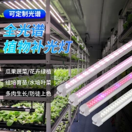 LED支架灯;LED日光灯;小夜灯